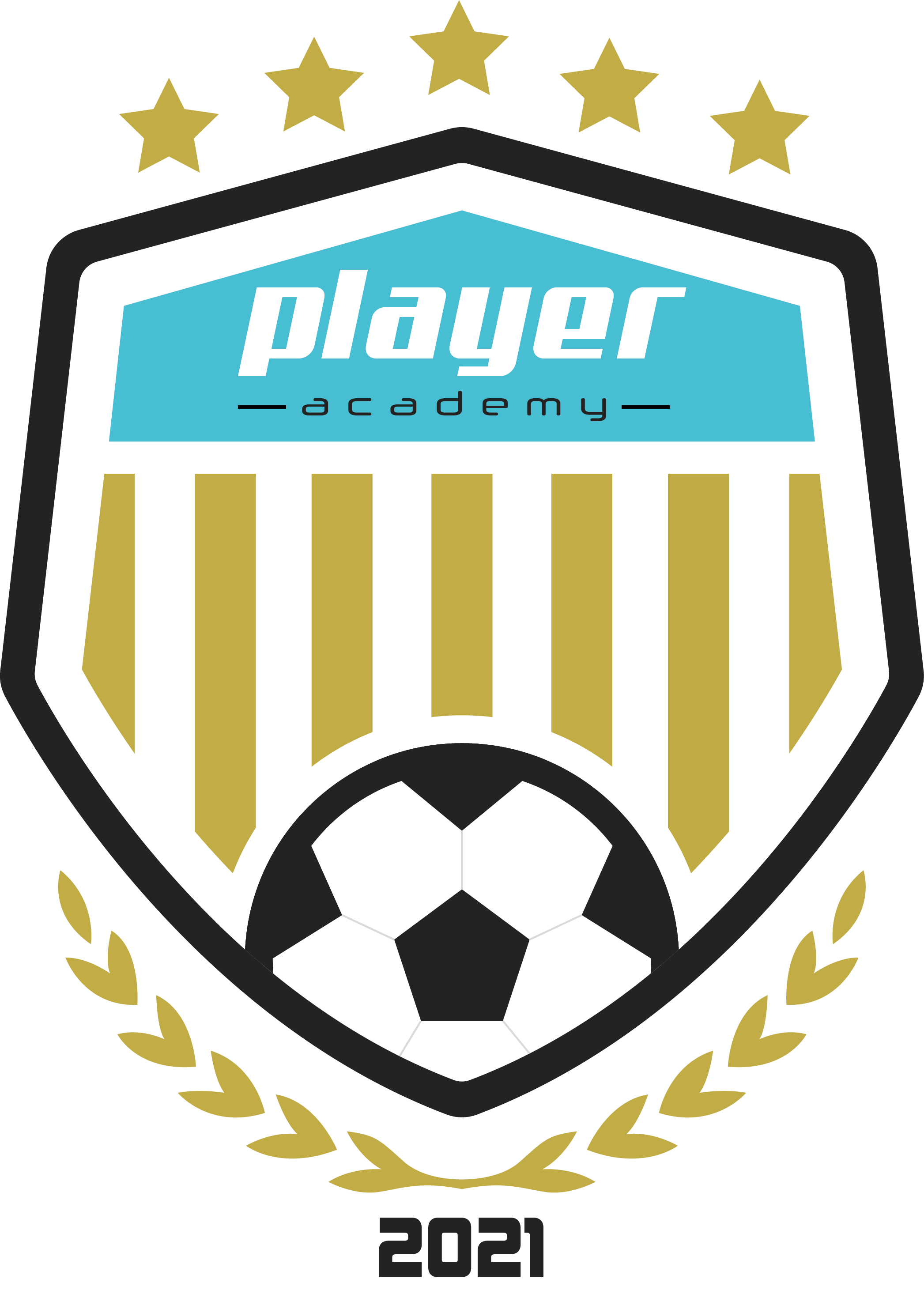 PLAYER ACADEMY